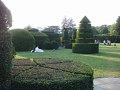 471 Longwood Gardens [2008 August 23]